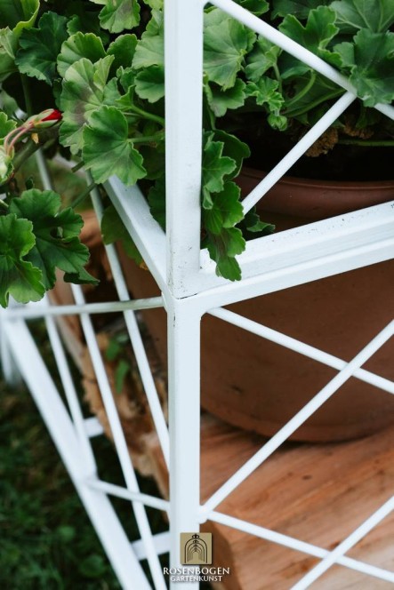 Rosenbogen PREMIUM SABINE