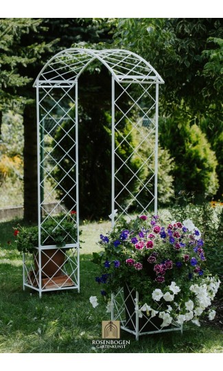 Rosenbogen PREMIUM SABINE