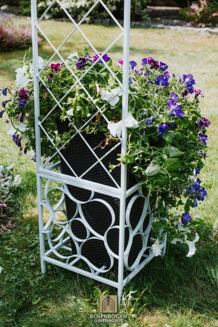 Rosenbogen PREMIUM SABINE