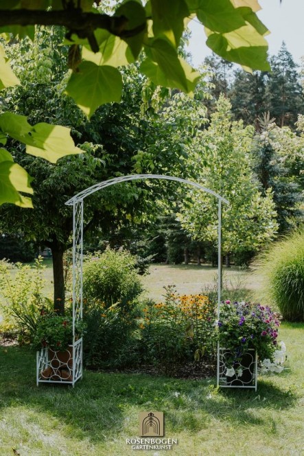 Rosenbogen PREMIUM SABINE