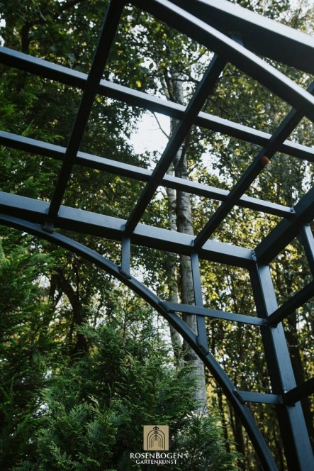 Rosenbogen PREMIUM JULIAN