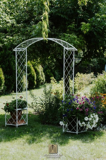 Rosenbogen SABINE