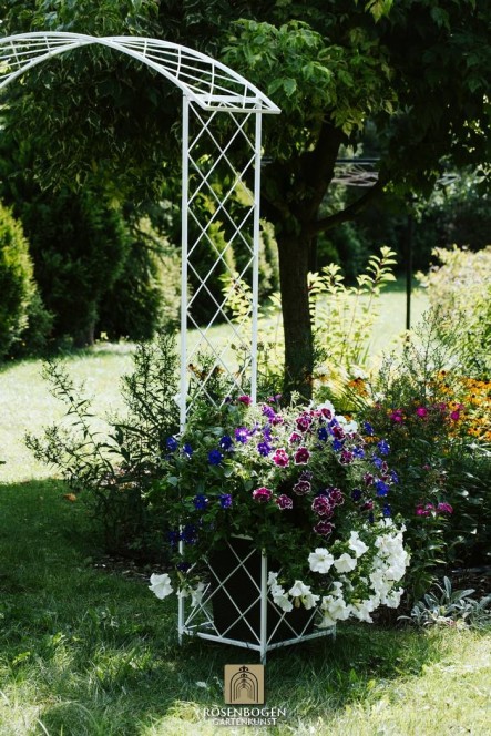 Rosenbogen SABINE