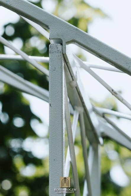 Rosenbogen SABINE