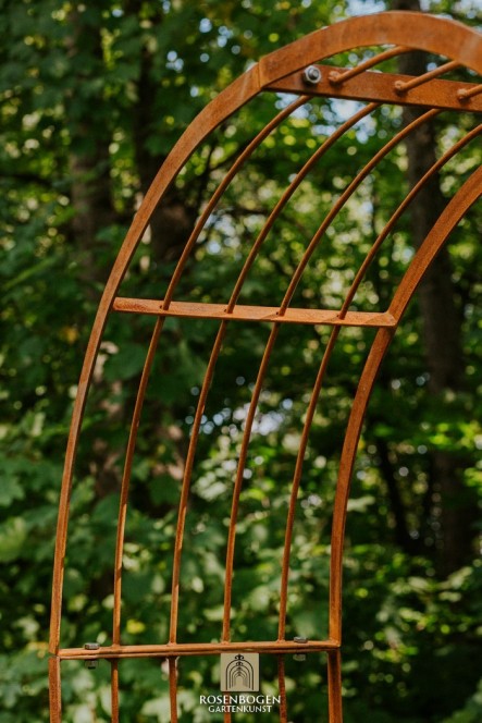 Rosenbogen Mia