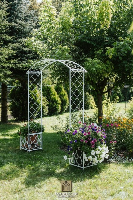Rosenbogen SABINE