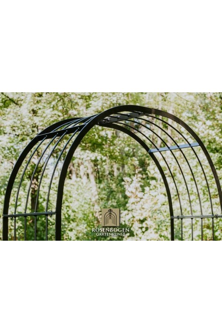 Rosenbogen Mia