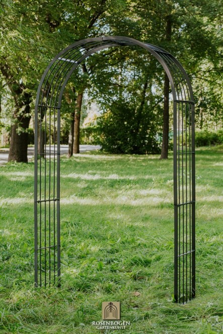 Rosenbogen Mia