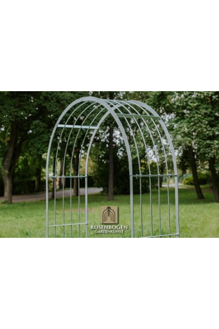 Rosenbogen Mia
