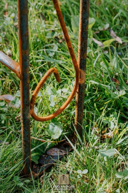 Laubengang LEA Spitze