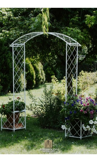 Rosenbogen SABINE