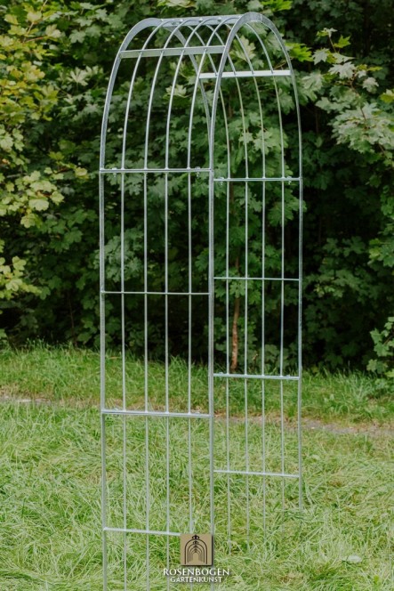 Rosenbogen Mia