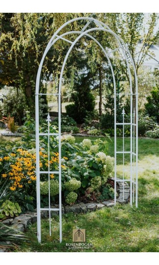 Rosenbogen PREMIUM CHESTER