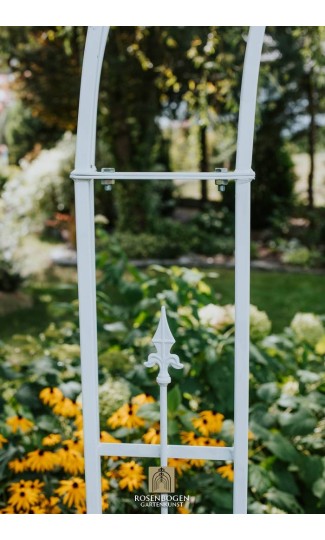 Rosenbogen PREMIUM CHESTER