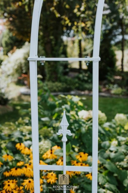 Rosenbogen PREMIUM CHESTER