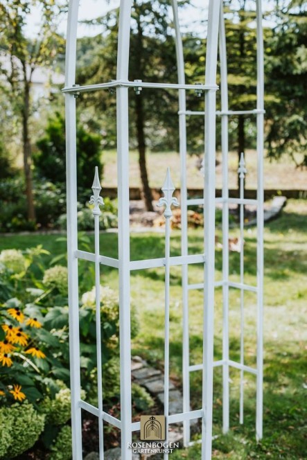 Rosenbogen PREMIUM CHESTER