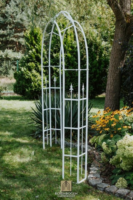 Rosenbogen PREMIUM CHESTER