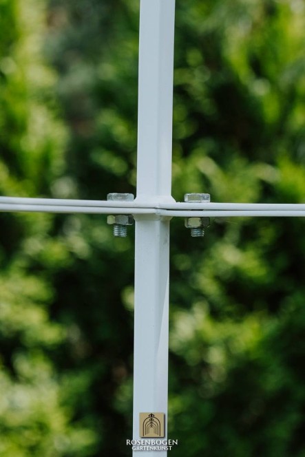 Rosenbogen PREMIUM CHESTER