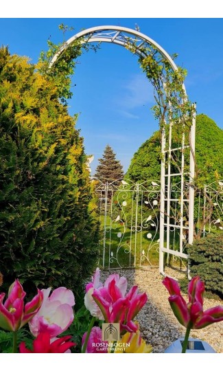 Rosenbogen PREMIUM AGATHE