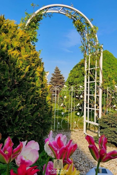 Rosenbogen PREMIUM AGATHE