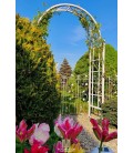 Rosenbogen PREMIUM AGATHE