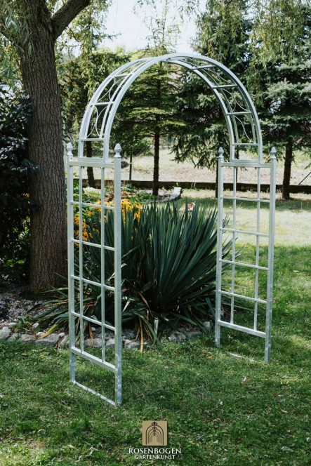 Rosenbogen PREMIUM AGATHE