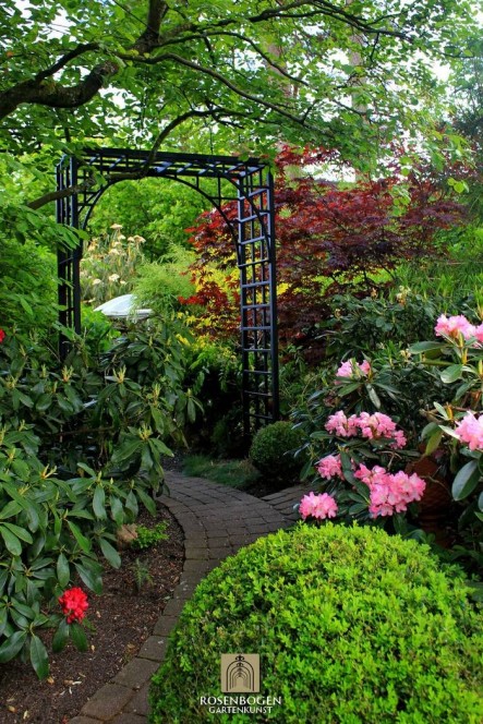 Rosenbogen PREMIUM JULIAN