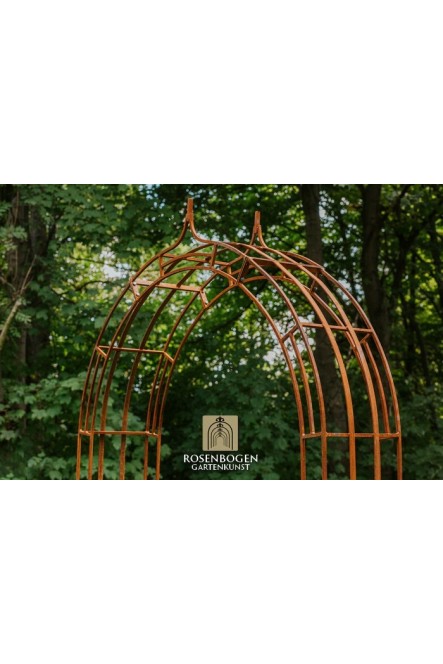 Rosenbogen Cleo