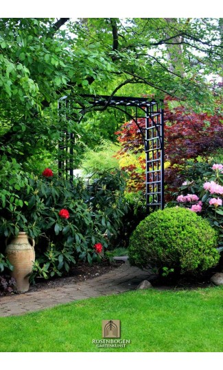 Rosenbogen PREMIUM JULIAN