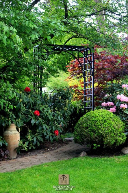 Rosenbogen PREMIUM JULIAN