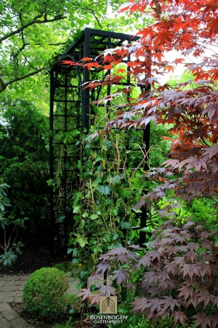 Rosenbogen PREMIUM JULIAN