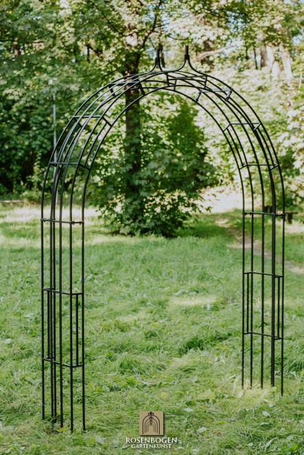 Rosenbogen Cleo
