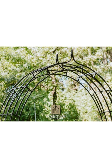 Rosenbogen Cleo