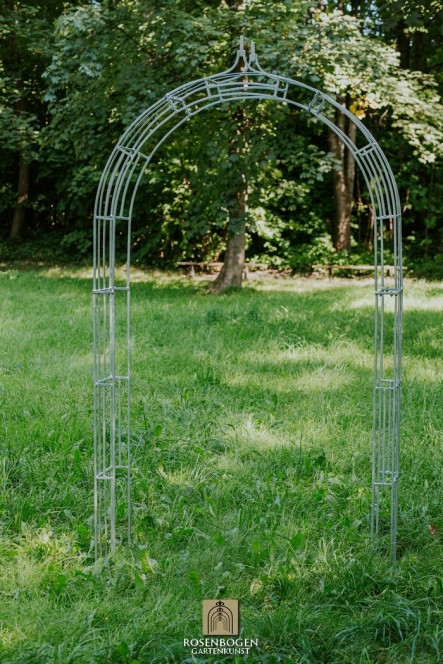 Rosenbogen Cleo