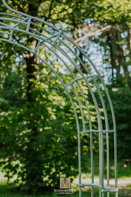 Rosenbogen Cleo