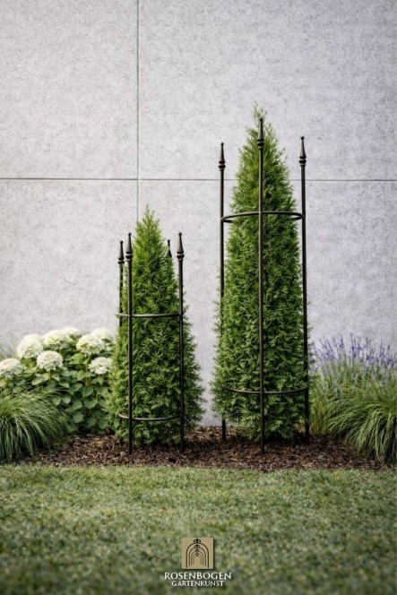 Rankhilfe DUO 2 - Set