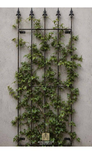 Rankgitter NIKLAS für Wand