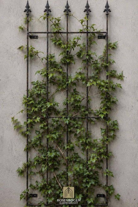 Rankgitter NIKLAS für Wand