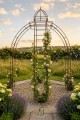 Pavillon ALEX 4-Ecking 200 x 200 cm