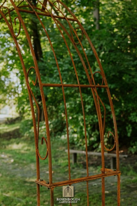 Wandrosenbogen Lea Spitze