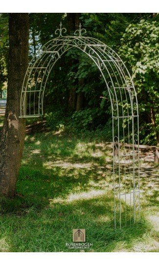Wandrosenbogen Lea Spitze