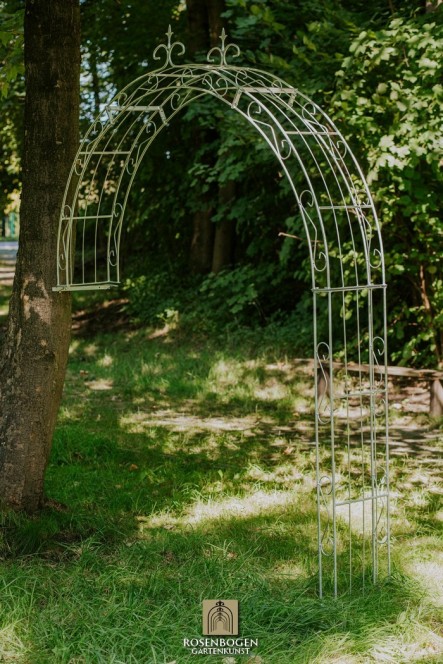 Wandrosenbogen Lea Spitze