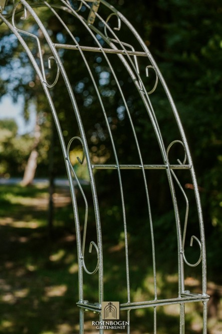 Wandrosenbogen Lea Spitze