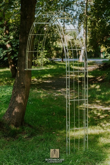 Wandrosenbogen Lea Spitze