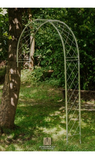 Wandrosenbogen Lilli