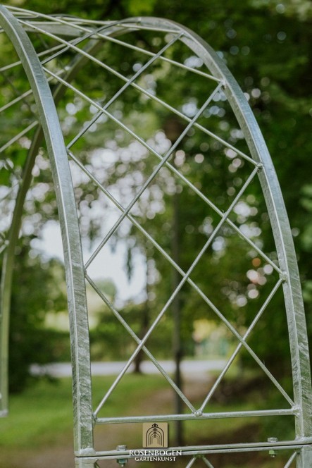 Wandrosenbogen Lilli