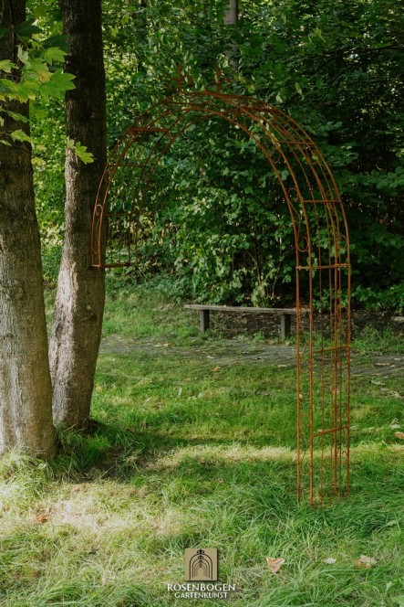 Wandrosenbogen Lea Spitze