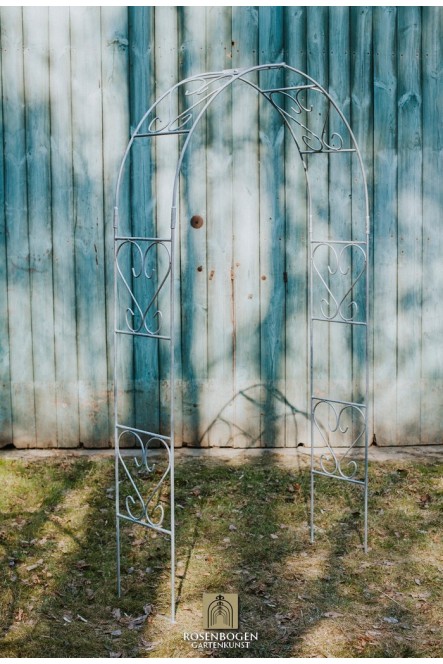 Rosenbogen Clara