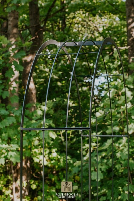 Rosenbogen EMMA