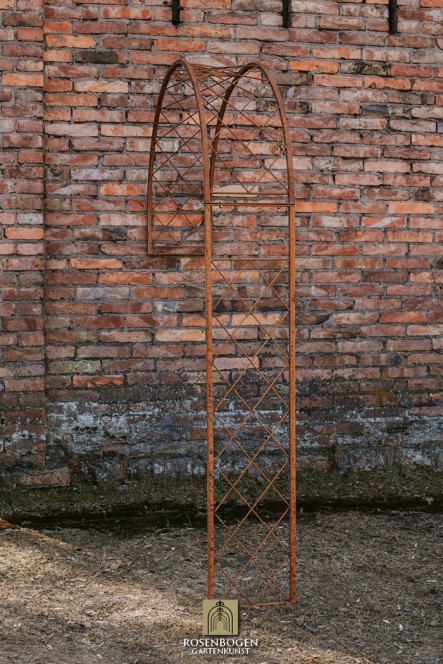 Wandrosenbogen Lilli